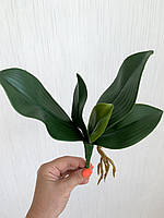 Декоративний лист до орхідея фаленопсис ( гелевий, імітація натурального Maxi 33 см), фото 2