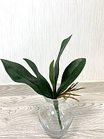 Декоративний лист до орхідея фаленопсис ( гелевий, імітація натурального Maxi 33 см), фото 3