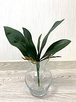 Декоративний лист до орхідея фаленопсис ( гелевий, імітація натурального Maxi 33 см), фото 5