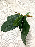 Декоративний лист до орхідея фаленопсис ( гелевий, імітація натурального Maxi 33 см), фото 6