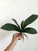 Декоративний лист до орхідея фаленопсис ( гелевий, імітація натурального Maxi 33 см), фото 8