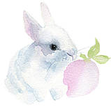 Подвійна римська штора з фотодруком і тюлем День-Ніч з акварельним малюнком. Безкоштовна доставка., фото 4