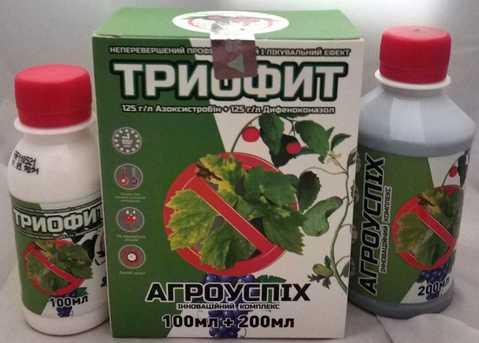 Засіб для захисту рослин від хвороб "Фунгіцид Триофит 100мл + Добриво Агроуспіх" 200+100 мл. 50шт/бл, фото 1