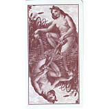 Таро Класичне (The Classic Tarot), фото 5