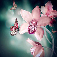 Алмазная вышивка розовая орхидея с бабочками 30х30 см, частичная выкладка, круглые стразы