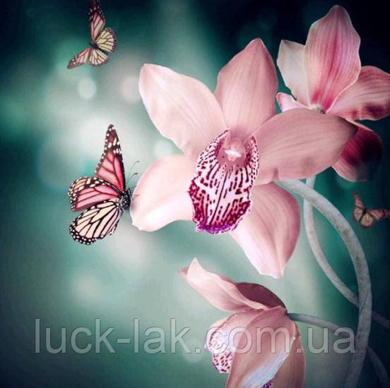 Алмазная вышивка розовая орхидея с бабочками 30х30 см, частичная выкладка, круглые стразы - фото 1 - id-p1448701668