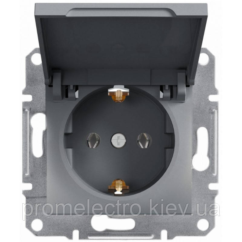 Розетка Schneider-Electric Asfora з кришкою, заземленням сталь (EPH3100162)