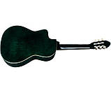 Набір гітара класична BANDES CG-851C GLS + чохол, фото 5