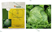 Насіння салату Робінзон 5 грам (айсберг)