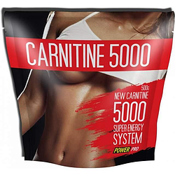 Power Pro Carnitine 5000 500г Кавун