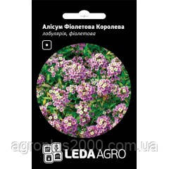 Насіння Лобулярія Фіолетова Королева 0,2 грама Hem Zaden LedaAgro, фото 1