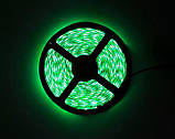 LED-стрічки (3528) Green — Зелений довжина 5 м Лід (ВідеоОбзор), фото 6