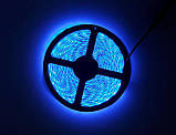 LED-стрічки (3528) Blue — Блакитна — Синій довжина 5 м Лід (ВідеоОбзор), фото 6