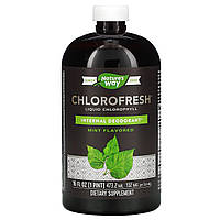 Natures Way, Chlorofresh (473 мл), жидкий хлорофилл, антиоксидант