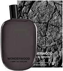Туалетная вода Comme Des Garcons Wonderwood 100 мл (8411061707821)