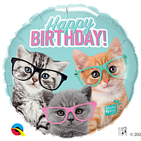 Q 18" Birthday Kittens In Glasses Pkg. Шар фольгированный С Днем рождения - В УП