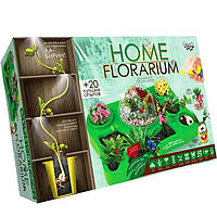 Набір для творчості DankoToys DT HFL-01-01 Home Florarium для виращування рослин