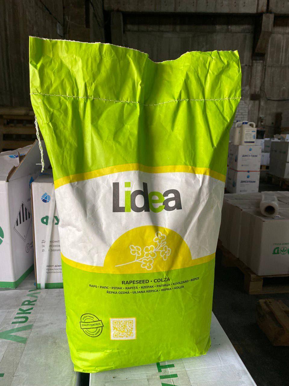 Насіння озимого ріпаку Lidea ЄС Ритмо
