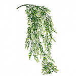 Звисаючі рослини