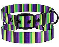 Ошейник для собак Urban ТМ BronzeDog нейлоновый полоса фиолетово-салатовая обхват шеи 30-40см ширина 20мм М