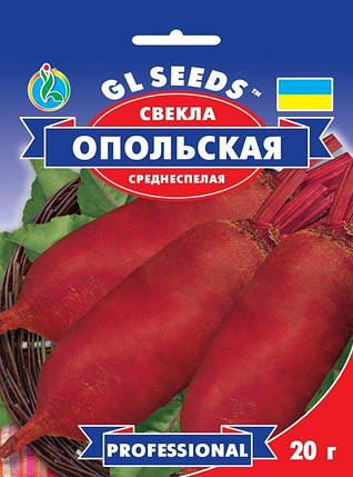 Буряк Опольський, 20 г, фото 1