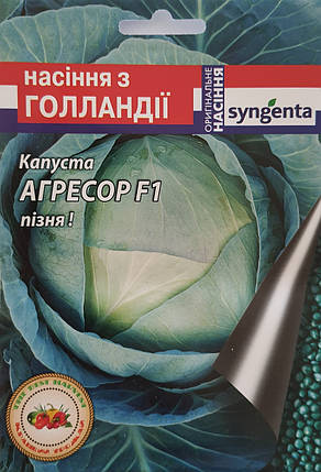 Капуста Агресор F1 (Syngenta), 20 насінин, фото 2