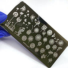 Пластина для стемпінгу MaiSheng 67