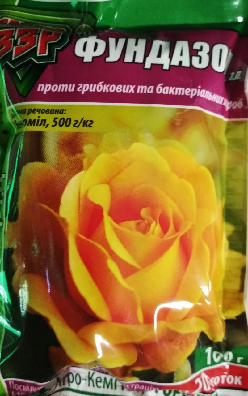 Фунгицид Фундазол, 100 Г — Купить Недорого на Bigl.ua (1112178770)