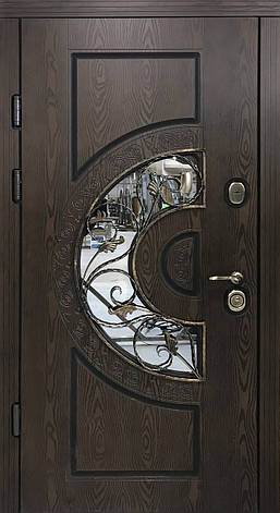 Двері вуличні, PRESTIGE 970*2050, модель 21-74, Полімерні накладки, склопакет, ковка, фото 2