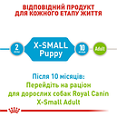 Сухий корм Royal Canin X-Small Junior 1,5 кг для цуценят дрібних порід вагою до 4 кг до 10 місяців, фото 5