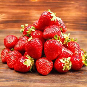 Розсада полуниці Диво світу - ремонтантна, врожайна, солодка