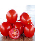 ЛАМПО F1 - насіння томату детермінантного 5 000 насінин, Nunhems, фото 4