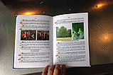 Видання книг малими тиражами в твердій обкладинці, фото 10