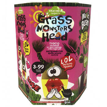 Набір для творчості DankoToys DT GMH-01-05 Grass Monsters Head весела травичка