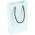 Пакет подарунковий глянець однотонний 11х18х5 см арт.108732, фото 2