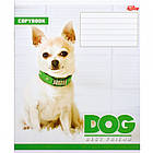 Зошит шкільний Мрії Збуваються 12арк в клітинку арт. 2731к, фото 3