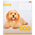 Зошит шкільний Мрії Збуваються 12арк в клітинку арт. 2731к, фото 4