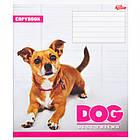 Зошит шкільний Мрії Збуваються 12арк в клітинку арт. 2731к, фото 5