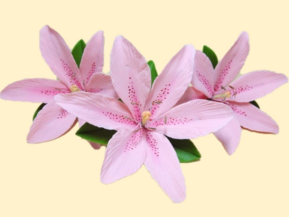 ЛІЛІЯ РОЖЕВА L = 80 ММ З ЛИСТОЧКАМИ (НАБІР З 3 КВІТОК), фото 1