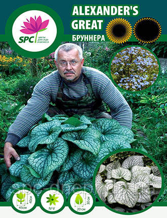 Бруннера Alexander's Great