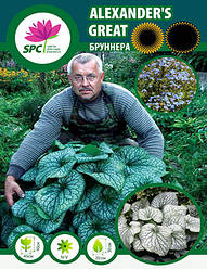 Бруннера Alexander's Great