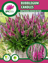 Вероніка Bubblegum Candles