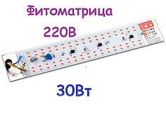 Світлодіодна фітоматриця для рослин 220 В LEDTEX SMD 2835 повного спектра 30 Вт, вбудований драйвер 20/4 см