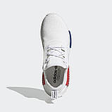 Оригинальные кроссовки Adidas NMD_R1 (GZ7925), фото 5