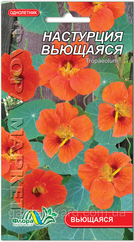 Насіння квітів Настурція витка Флора маркет