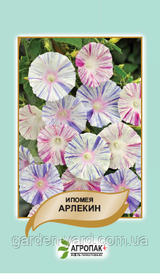 Насіння квітів Іпомея Арлекін 1г. Агропак плюс