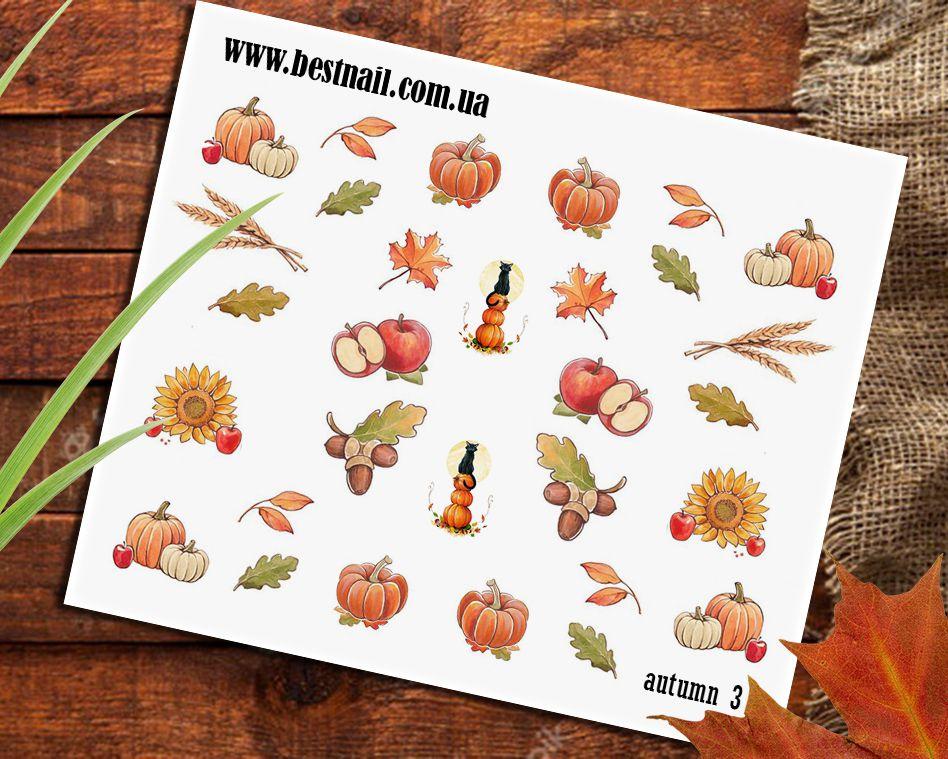 Слайдер-дизайн Autumn 3, фото 1