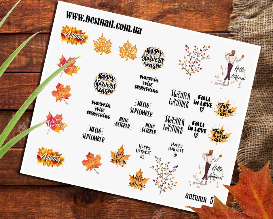 Слайдер-дизайн Autumn 5, фото 1