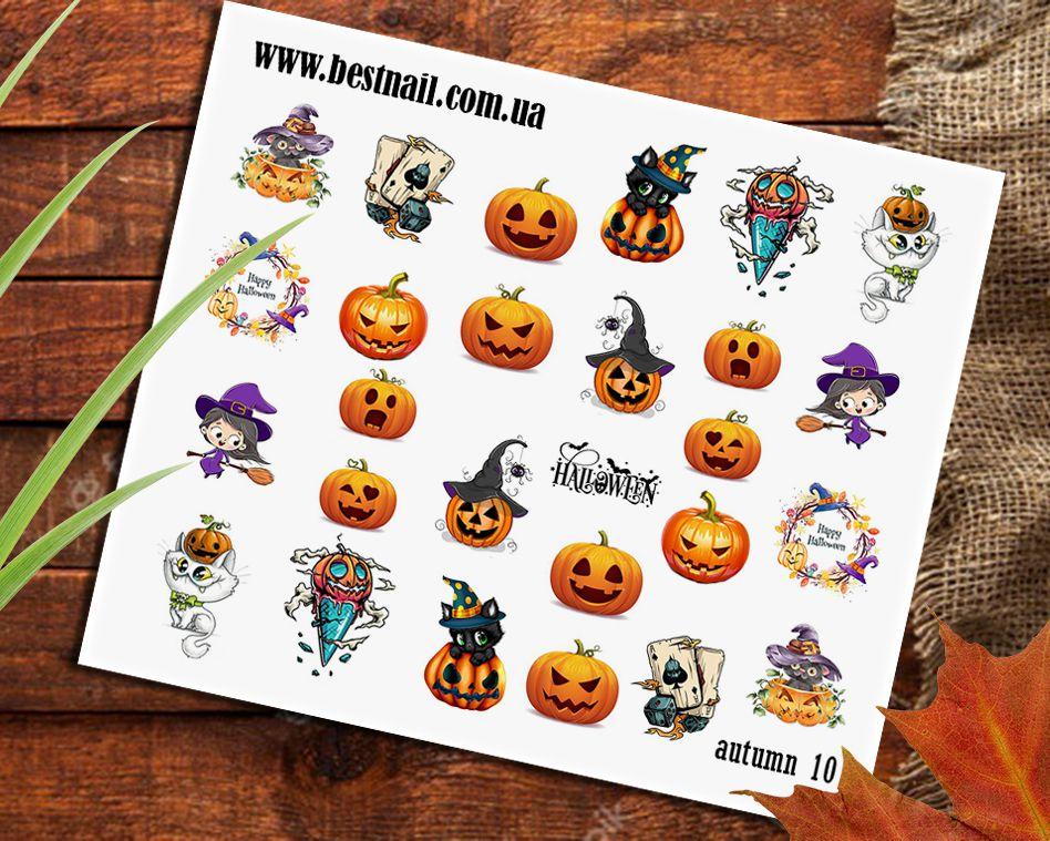 Слайдер-дизайн Autumn 10, фото 1