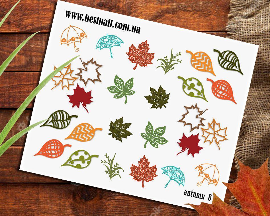 Слайдер-дизайн Autumn 8, фото 1